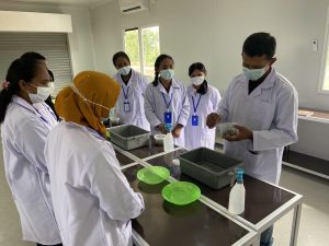 Tissue Culture